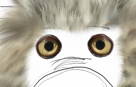 Creation of They're Rotten!: Step 12