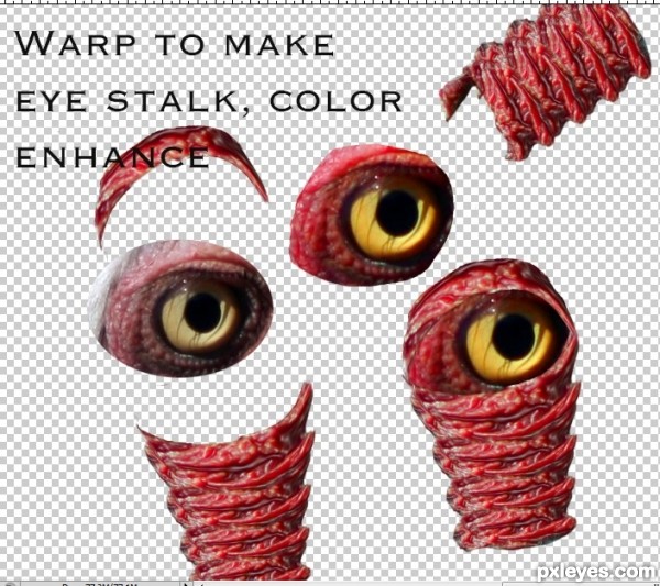 Creation of Don't You But Bob Marley Me!: Step 10