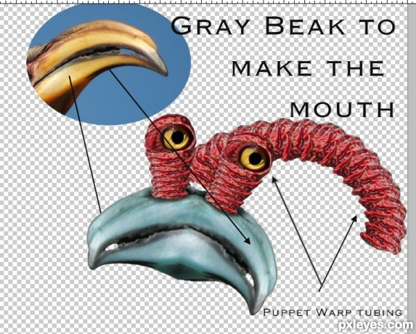 Creation of Don't You But Bob Marley Me!: Step 11