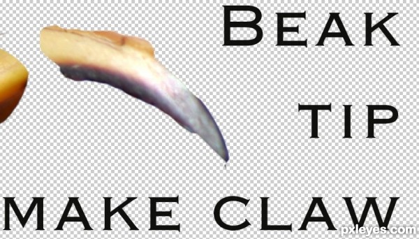 Creation of Don't You But Bob Marley Me!: Step 12