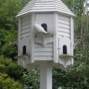 bird house 2 source image