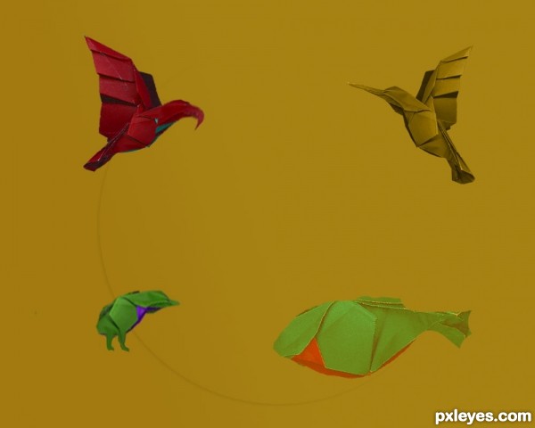 Creation of Origami-z: Final Result