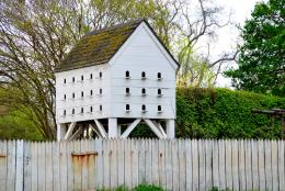 Bird Condominiums