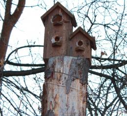 Bird HOME