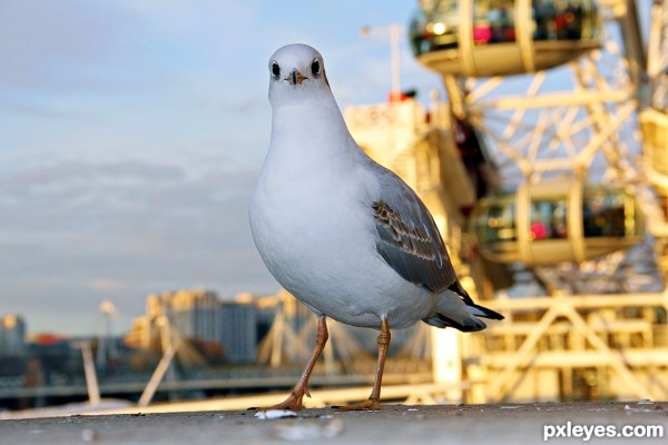 London Eye Mascott