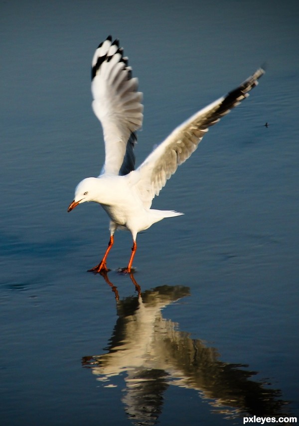 Ready to Land or Take Off?