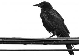 NEVERMORE