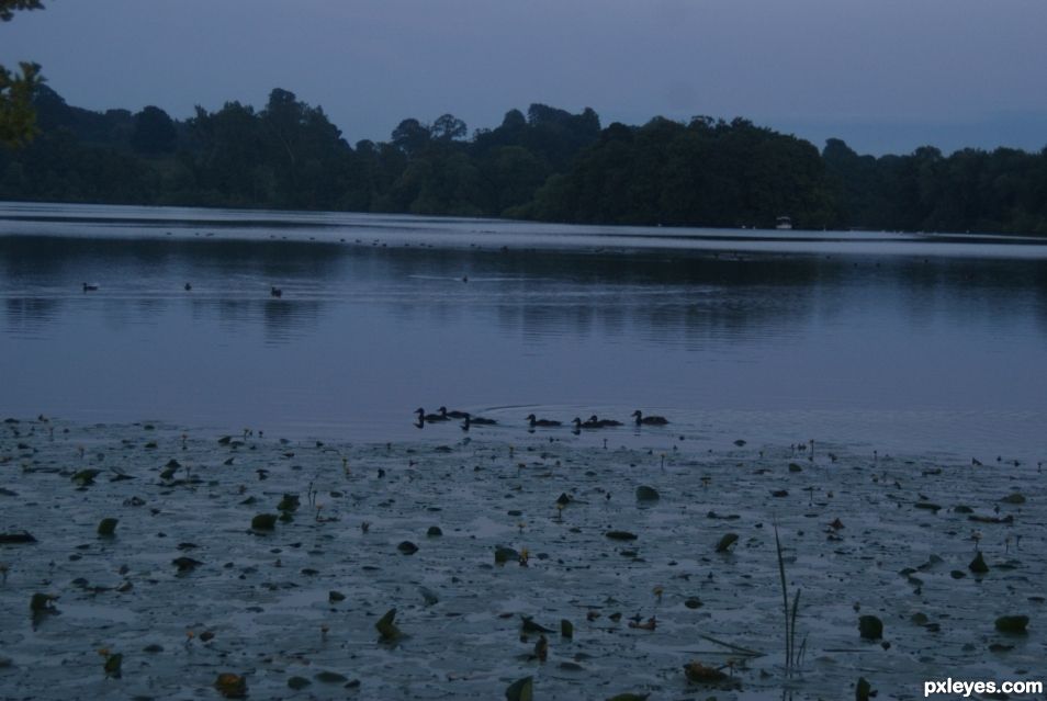 Night walk