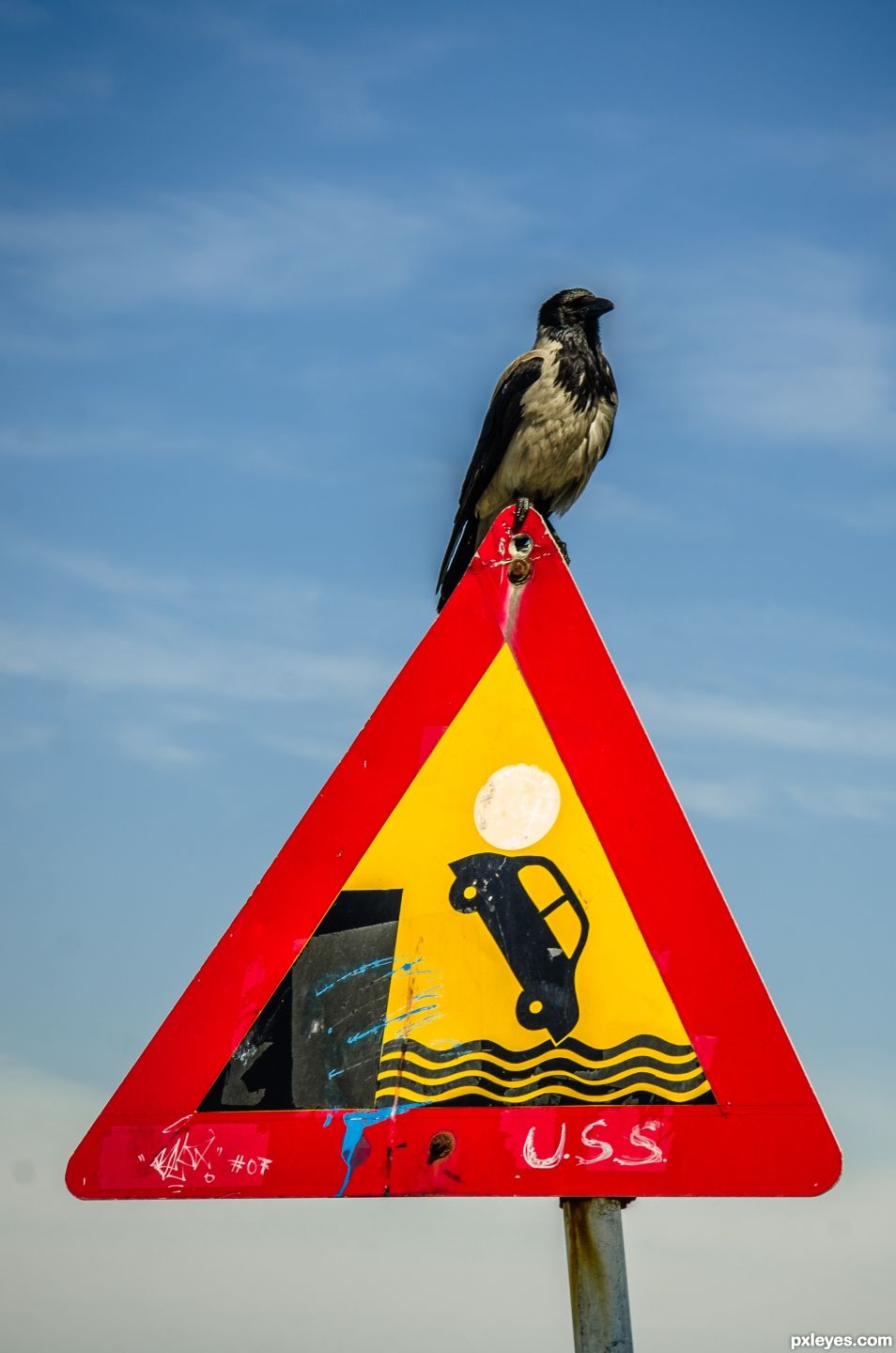 Sign of the Crow