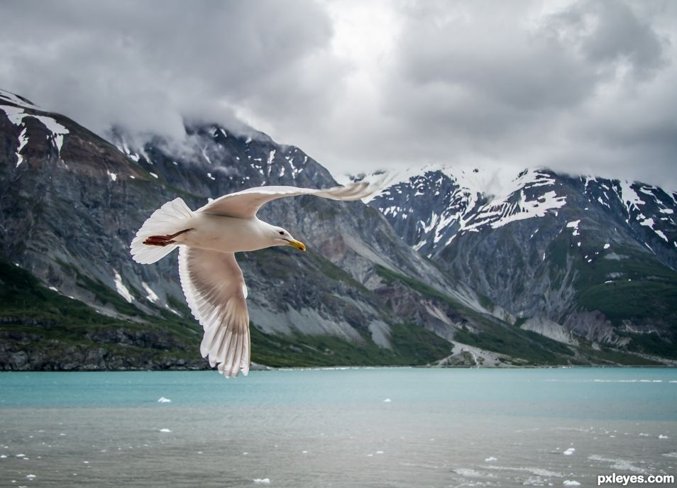 Glacier Bay Flyby