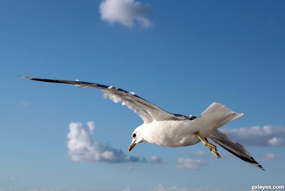 Flying over the sea