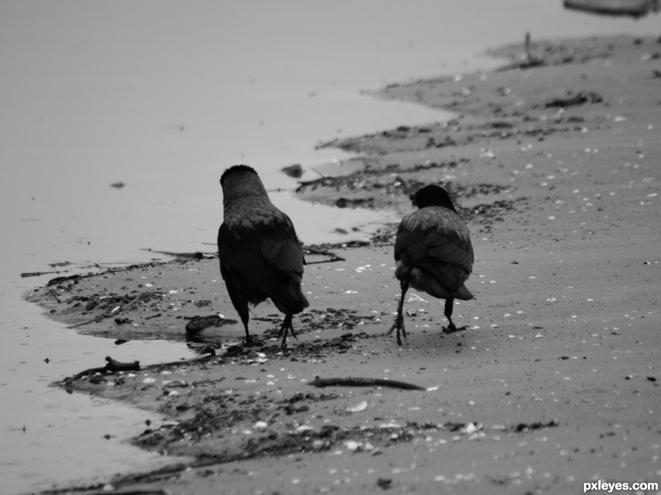 Walking on the beach