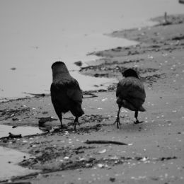 Walkingonthebeach