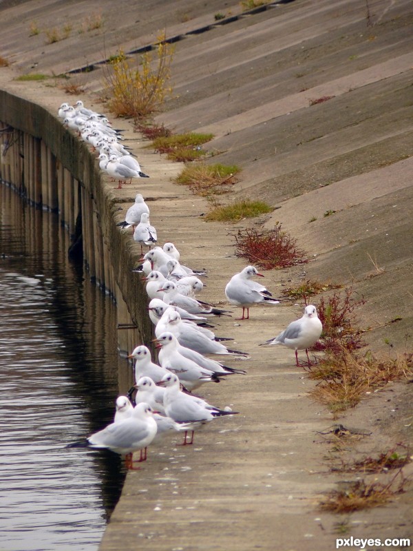 All in a row