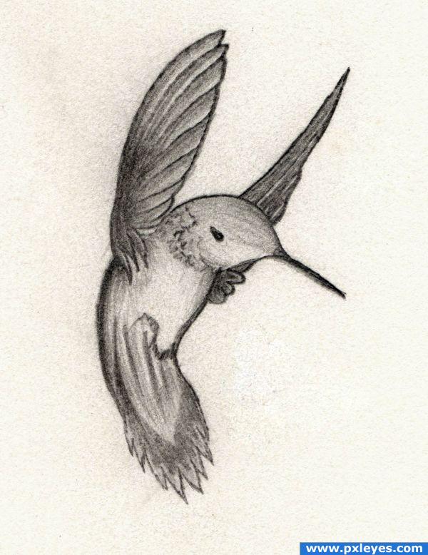 Creation of hmmmmmming bird: Final Result