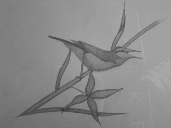 Creation of Little bird : Step 5