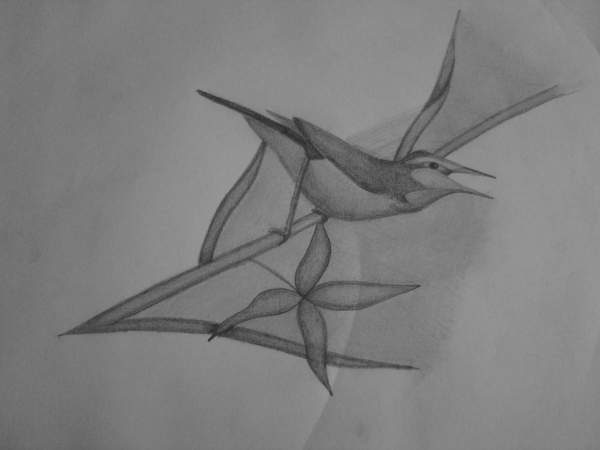 Creation of Little bird : Step 6