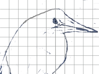 Creation of Its A Bird really It is: Step 2