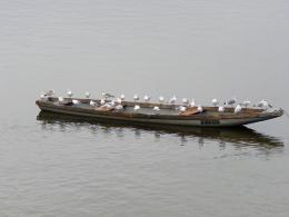 Crowded boat