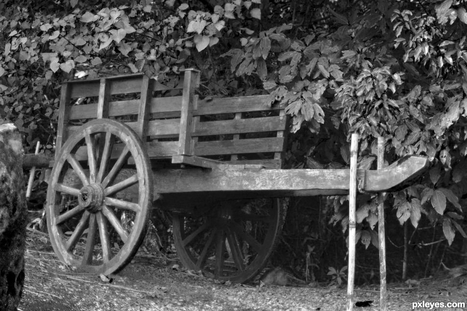 the old cart