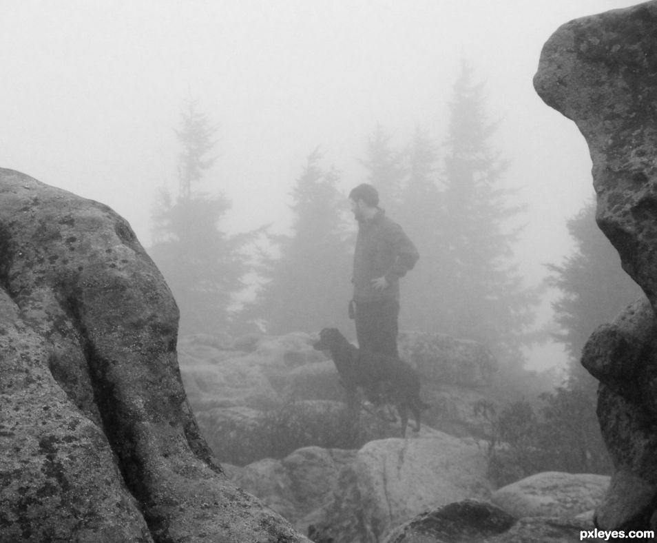 Fog on Dolly Sods