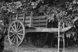 the old cart