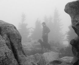 Fog on Dolly Sods