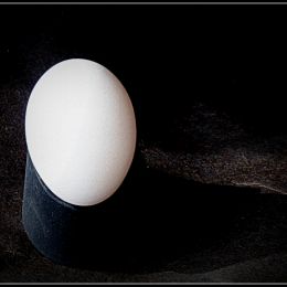 EggstrordinarilySimple