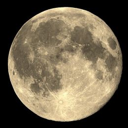 Moonshot