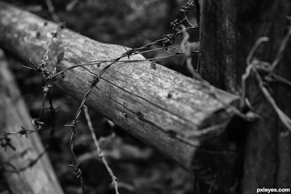 barbed wire