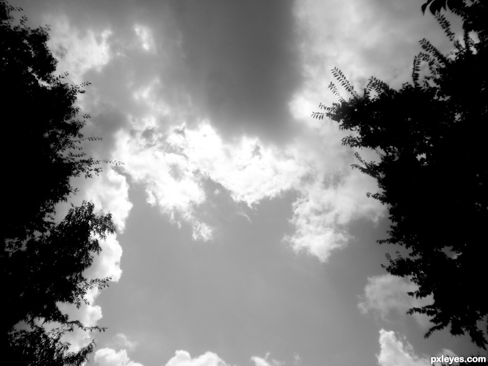 clouds and trees