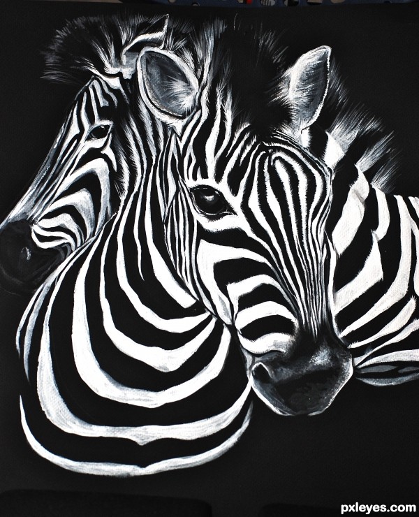 Creation of painted zebras: Final Result