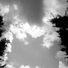 cloudsandtrees