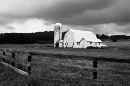 A Storm in Brewing in the Country