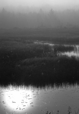 Back Country Dawn