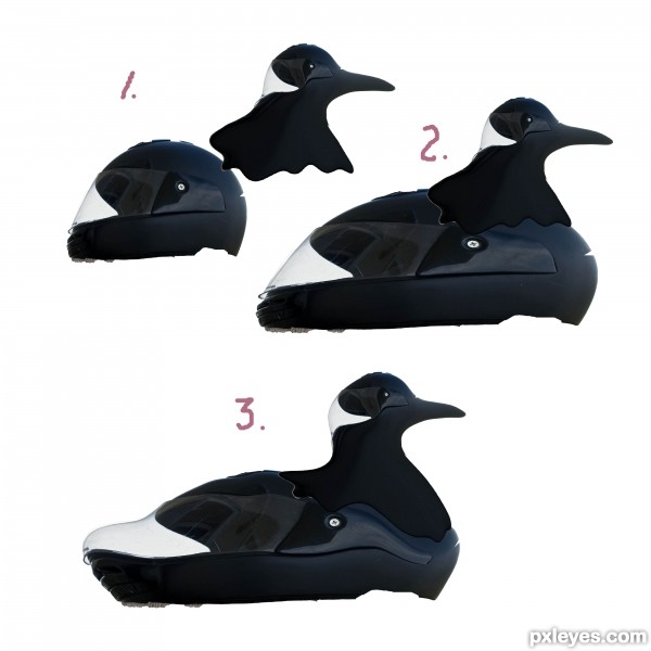 Creation of Decoy of Wood : Step 4