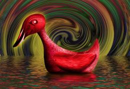 The Spell of the Red Duck