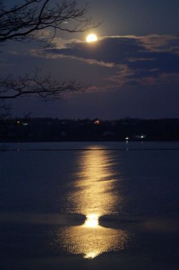 Full moon before dawn