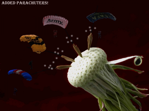 Creation of Parachuttin Spores: Step 2