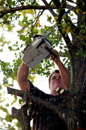 tree cutting is a hard job