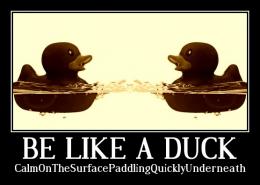 Be Like a Duck