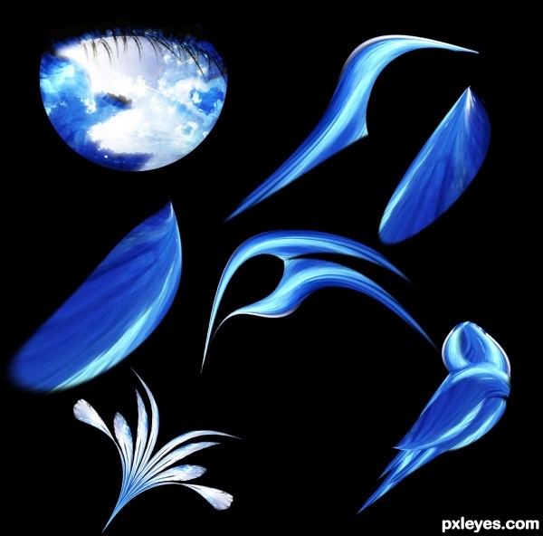 Creation of Blue Bird: Step 1