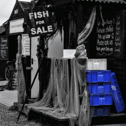 OldFishShop