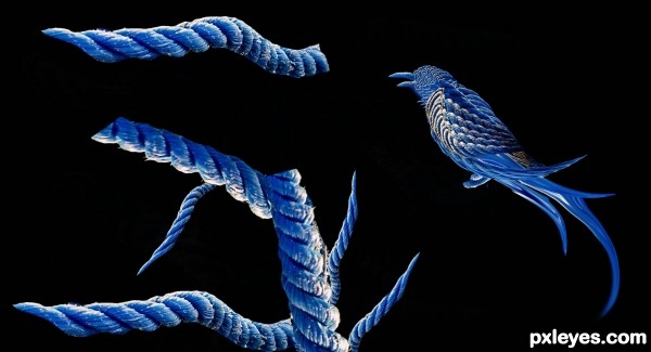 Creation of Ropebird: Step 2
