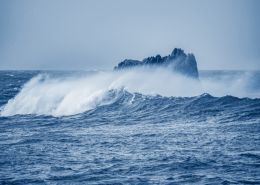 Wave