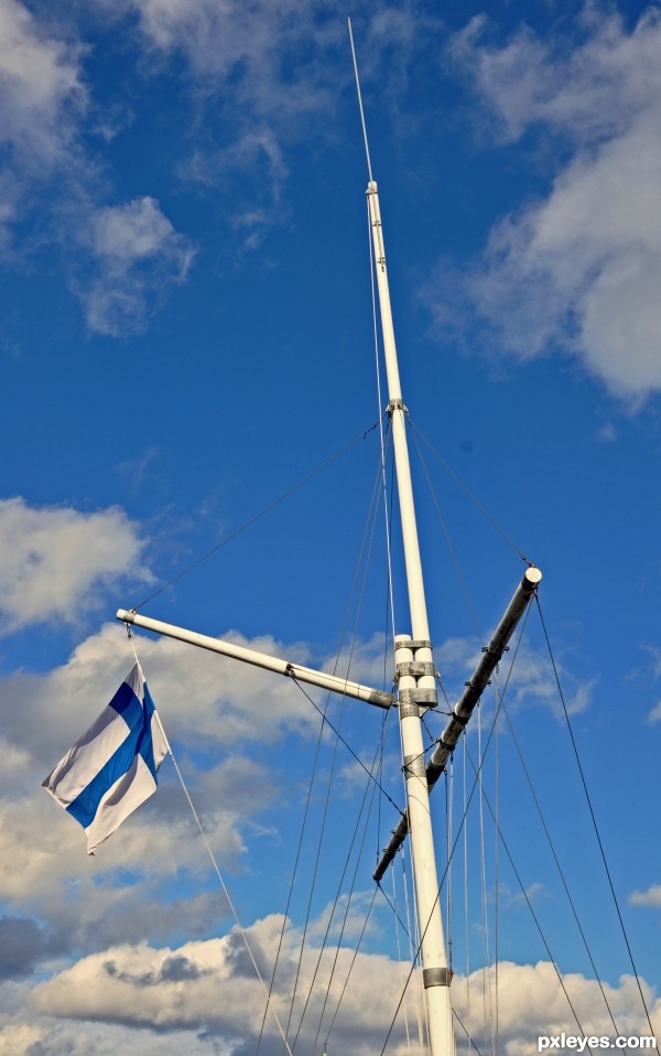 Mast and Flag
