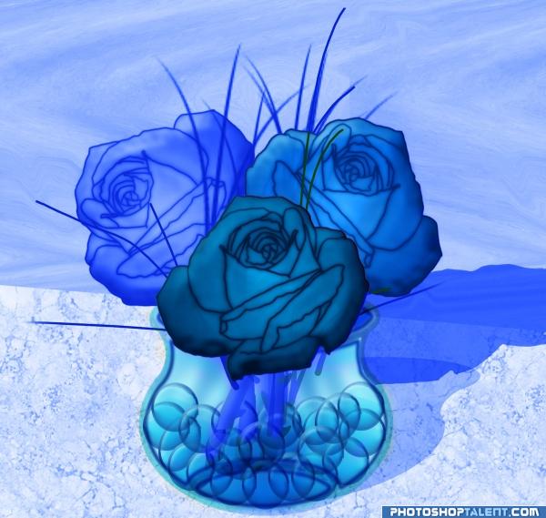 Blue Roses