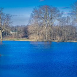 Clear blue day Picture