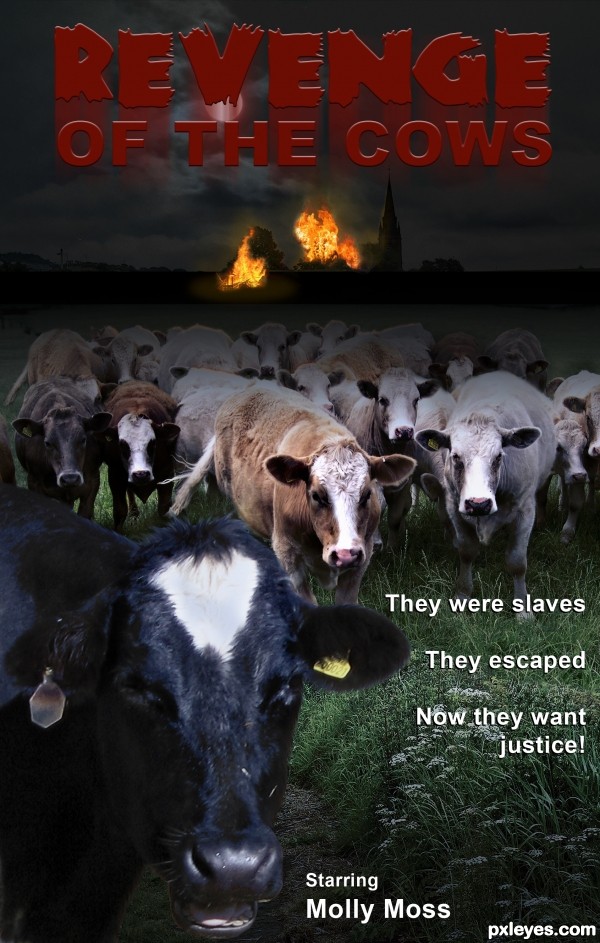 Revenge of the cows