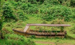 jungle boat ready to go